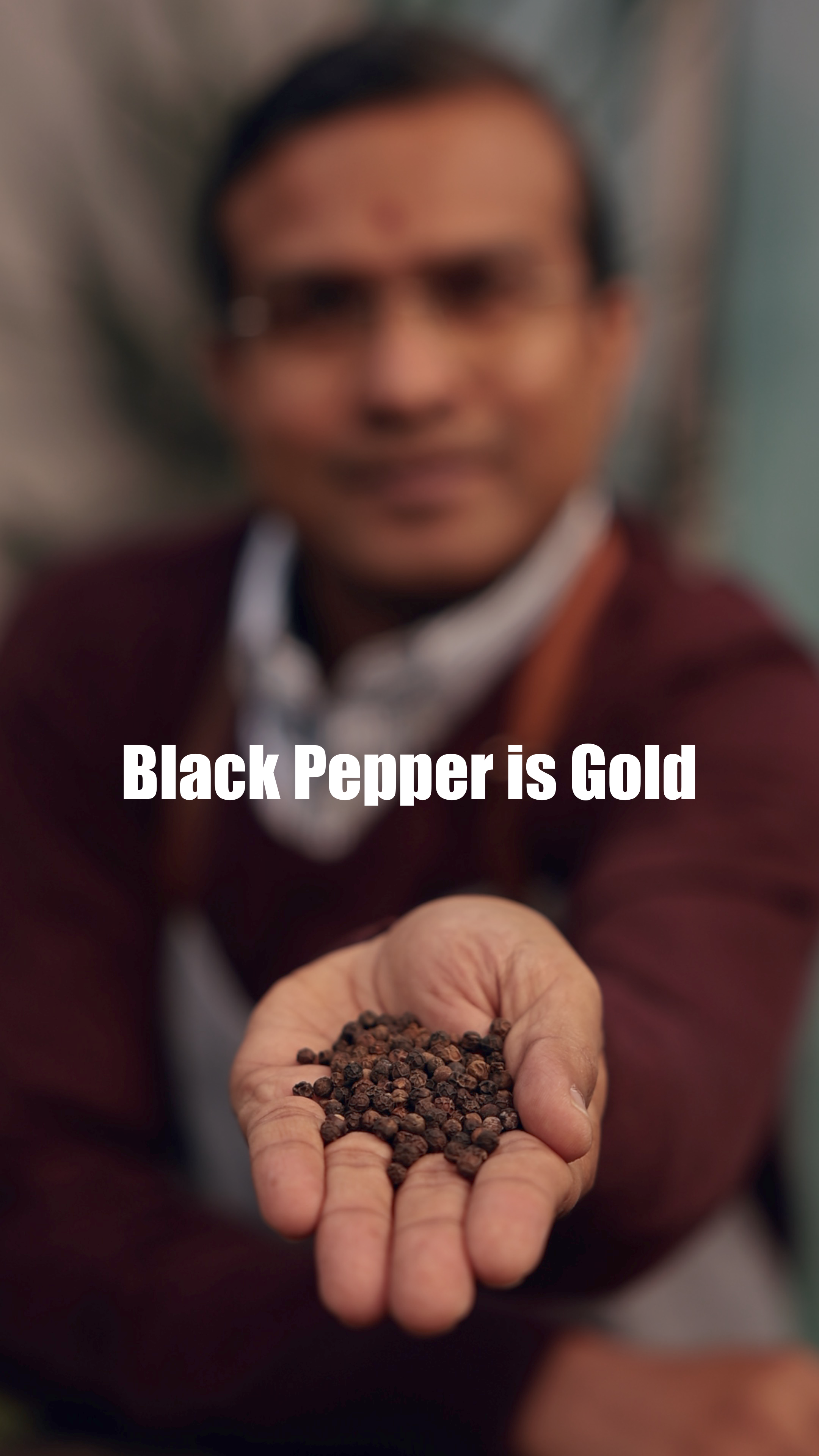 Black Pepper: Seasonal Transitions & Digestion