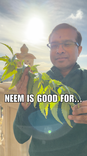 Organic Neem Leaf Powder